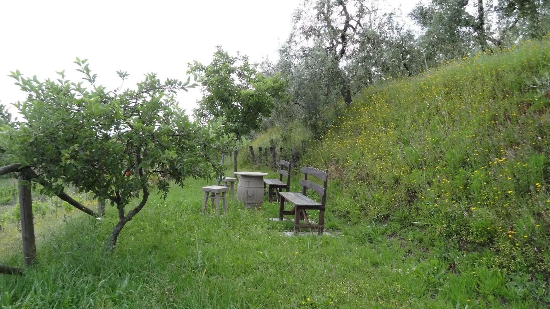 Holiday Home Cerbaiola Lamporecchio 0*,